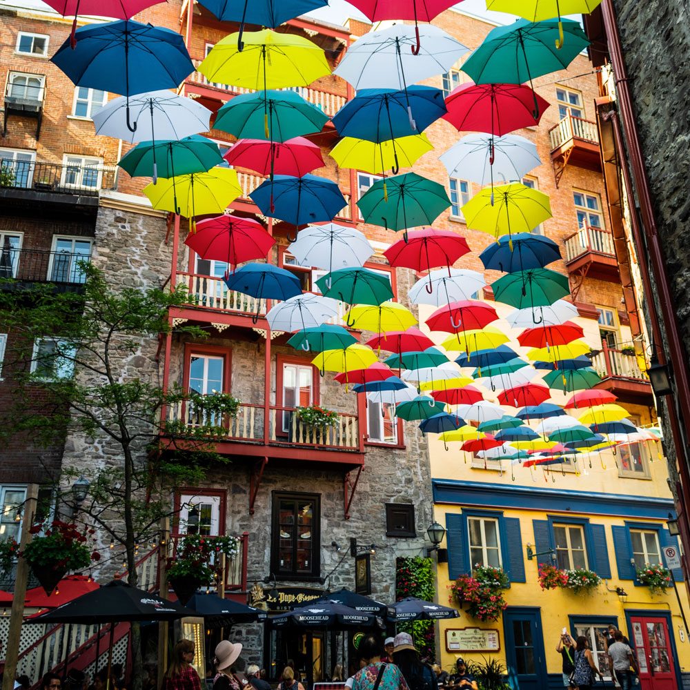 Streetscape Maintenance & 24 HR. Emergency Services