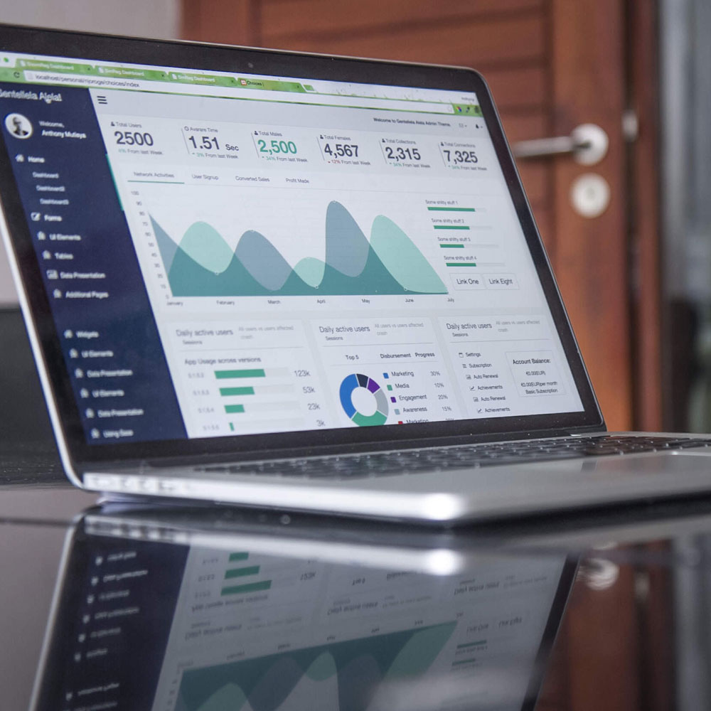 Data Analytics & Consumer Research Services